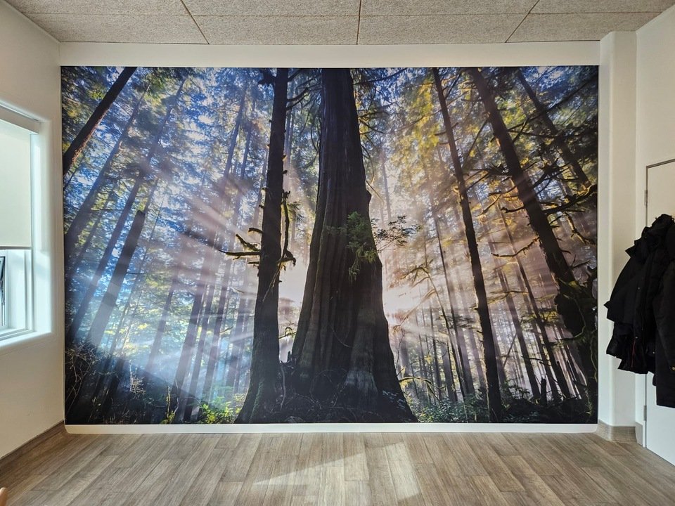 wall mural